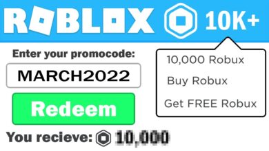 10000 robux codes